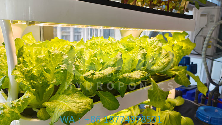 Agriculture Farming Equipments - c Macchina agricola per coltivare la
